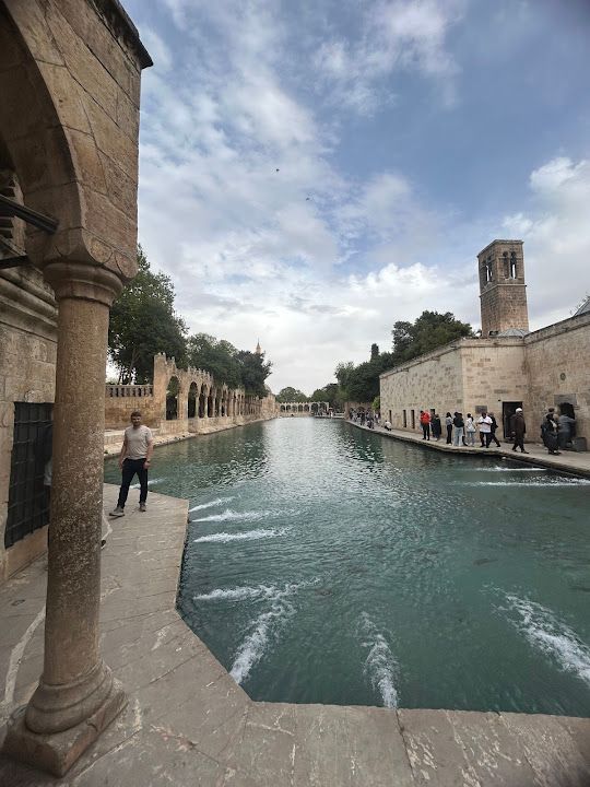 Yorum fotoğrafı 4