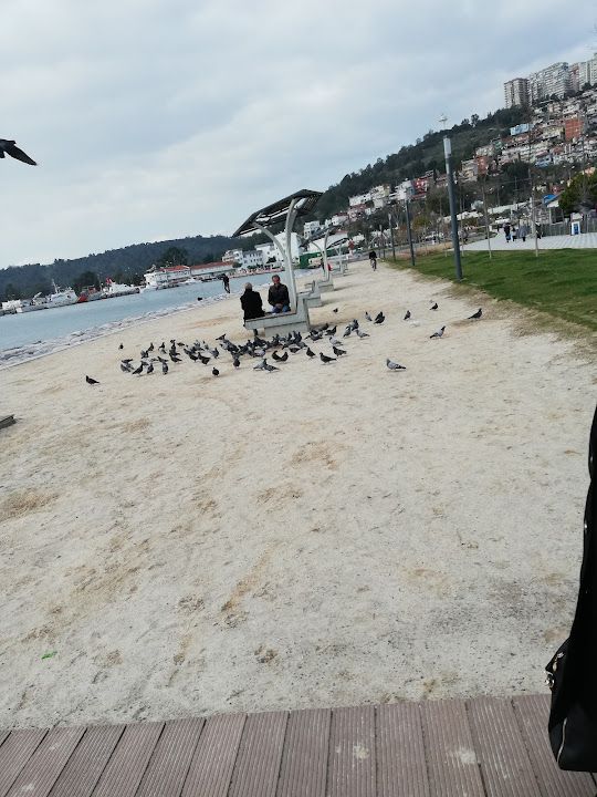 Fotoğraf 20