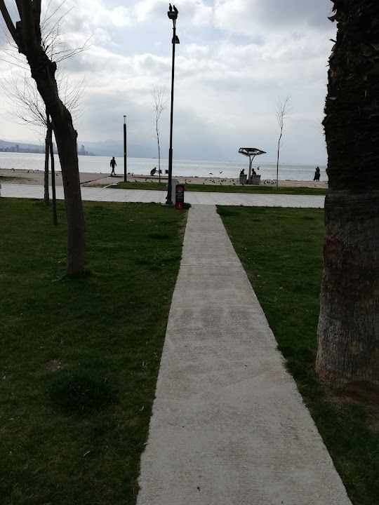 Fotoğraf 19