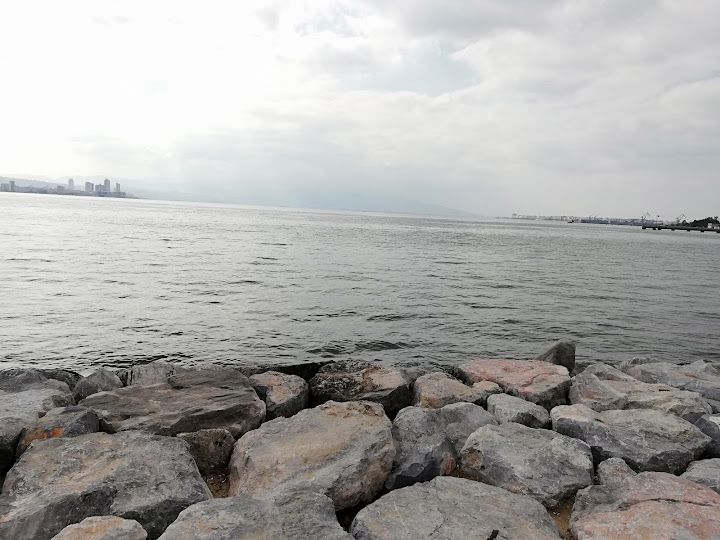 Fotoğraf 21
