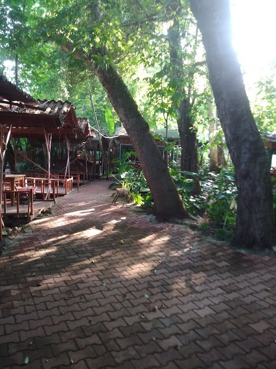 Yorum fotoğrafı 4