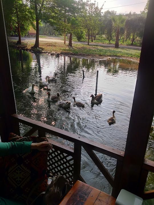Yorum fotoğrafı 3