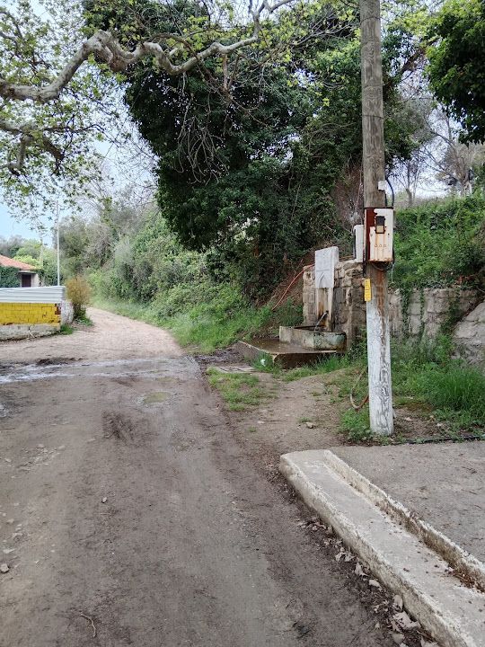 Yorum fotoğrafı 4