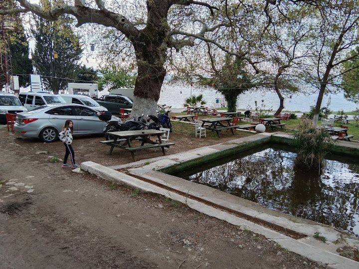 Yorum fotoğrafı 2