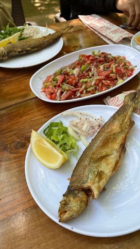 Yorum fotoğrafı 4