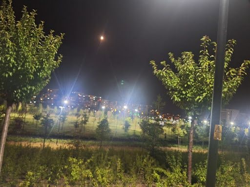 Yorum fotoğrafı 10
