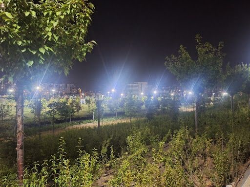 Yorum fotoğrafı 5