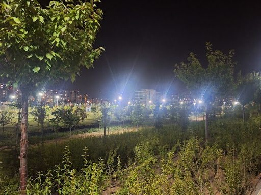 Yorum fotoğrafı 6