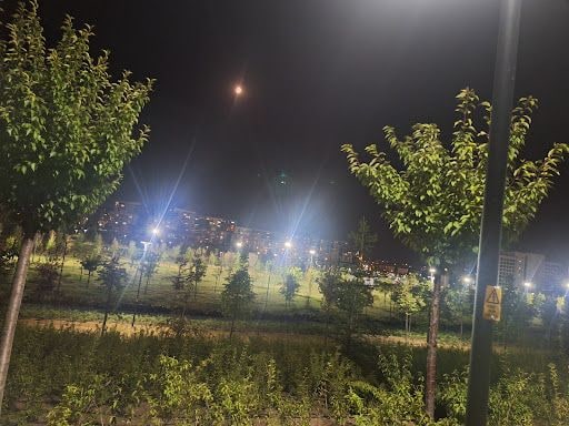 Yorum fotoğrafı 7