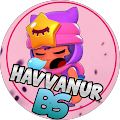 HAVVANUR BS