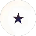 Havvanur Toy