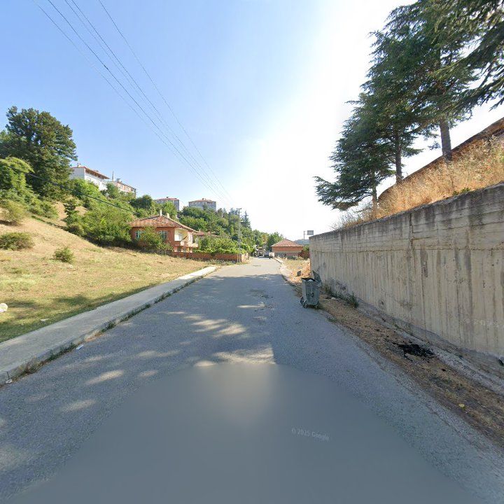 Fotoğraf 9