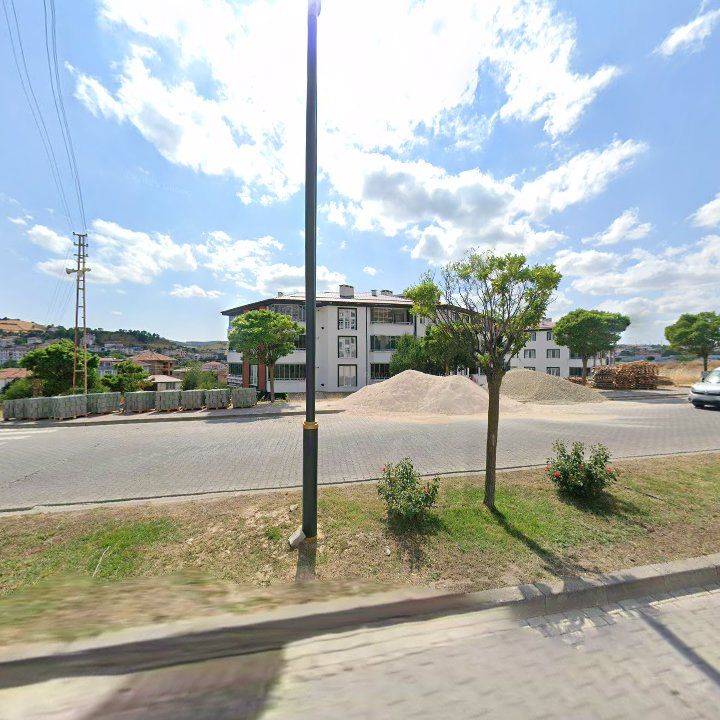 Fotoğraf 10