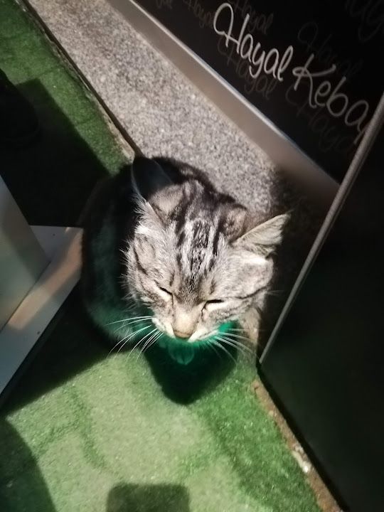 Yorum fotoğrafı 2