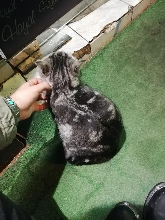 Yorum fotoğrafı 1