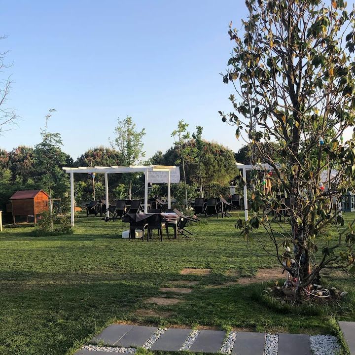 Fotoğraf 50