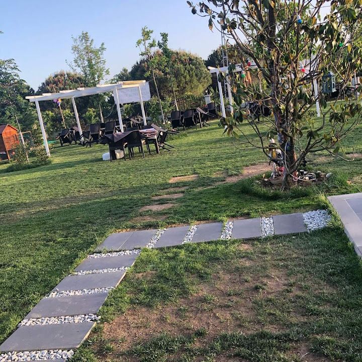 Fotoğraf 49