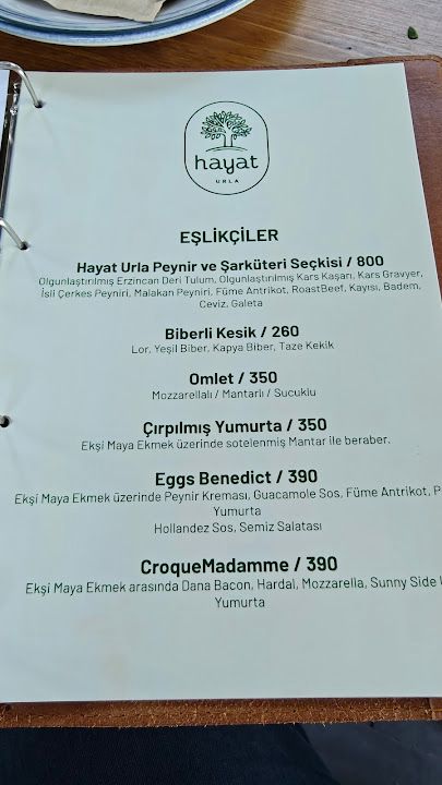 Fotoğraf 21