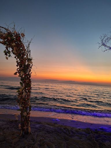 Fotoğraf 20