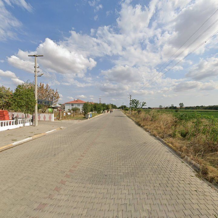 Fotoğraf 6