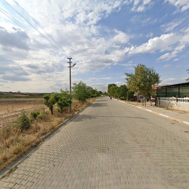 Fotoğraf 8