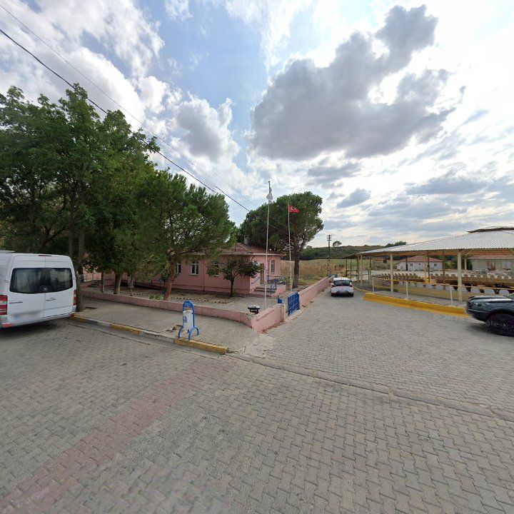 Fotoğraf 16