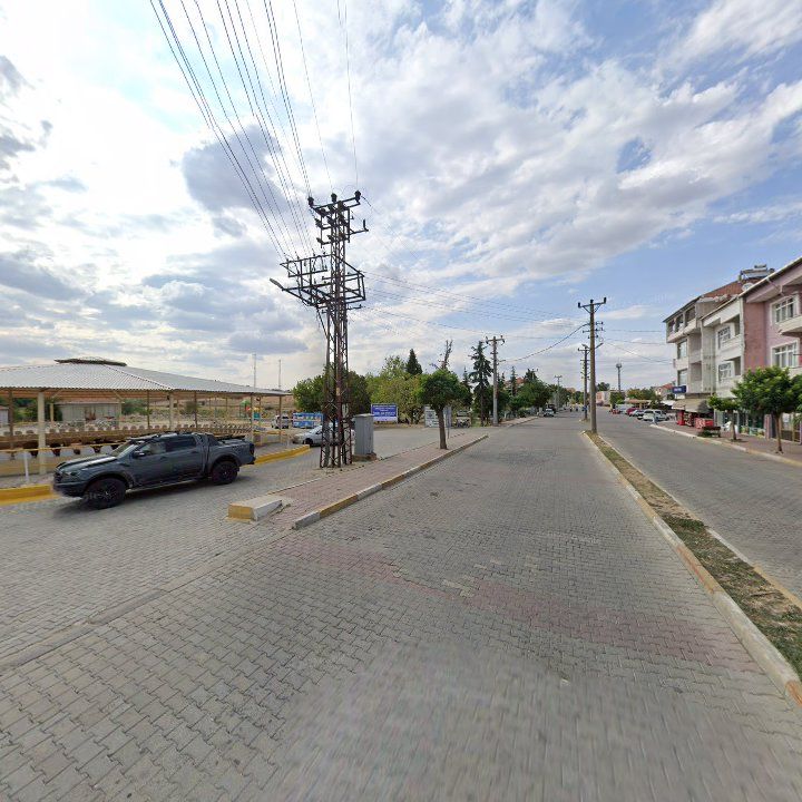 Fotoğraf 17
