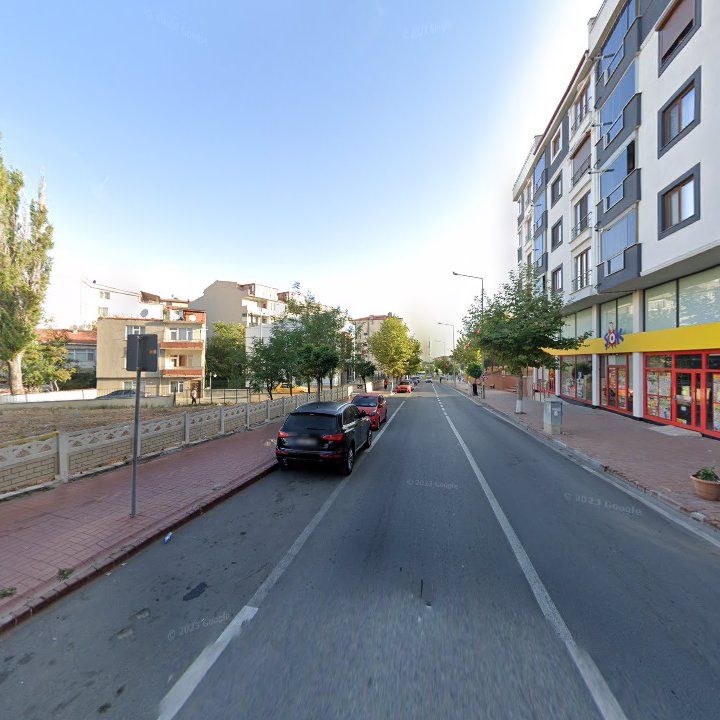 Fotoğraf 8