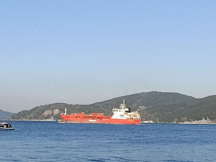Yorum fotoğrafı 2