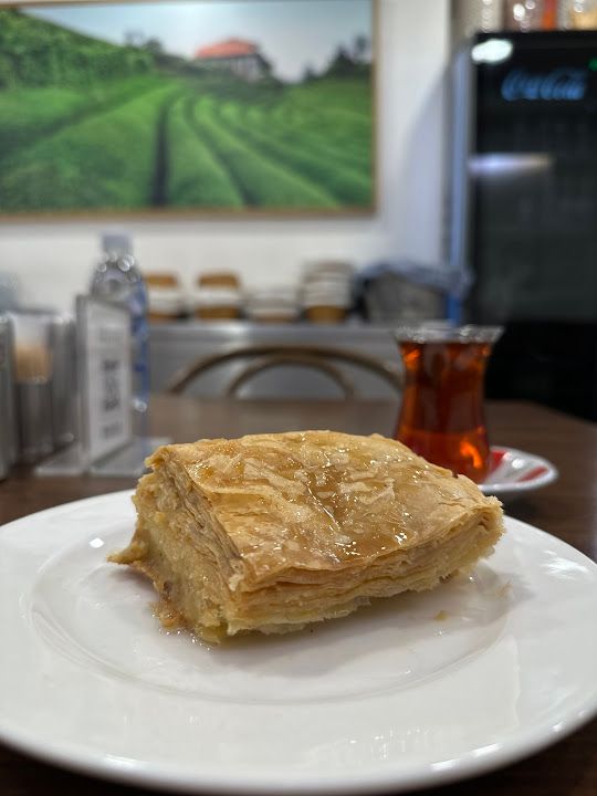 Fotoğraf 48