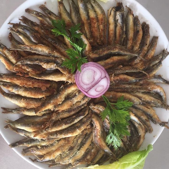 Fotoğraf 23