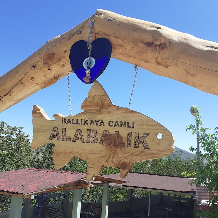 Ballıkaya Canlı Alabalık Ve Kamp Alanı