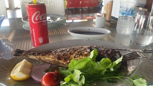 Fotoğraf 14