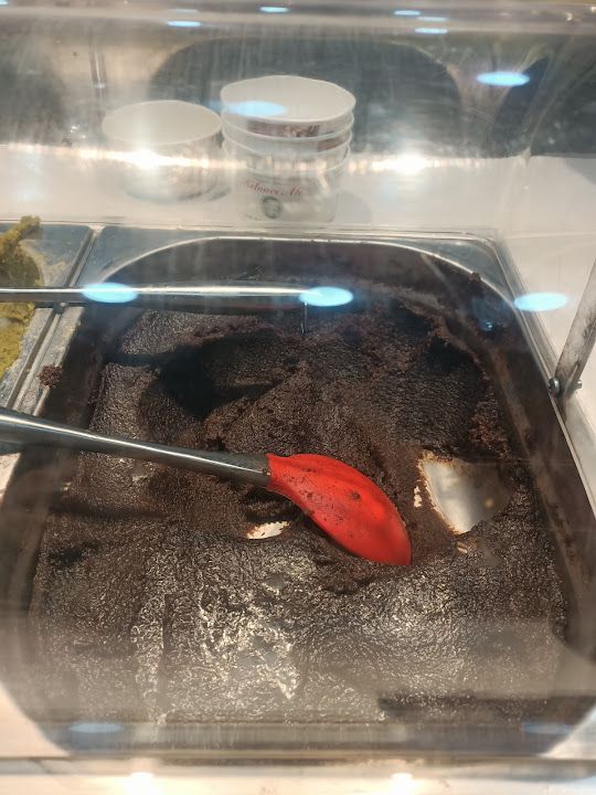 Fotoğraf 12