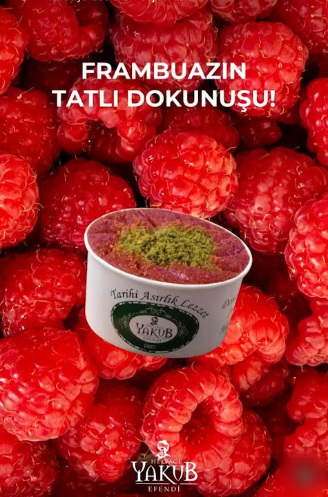 Fotoğraf 16