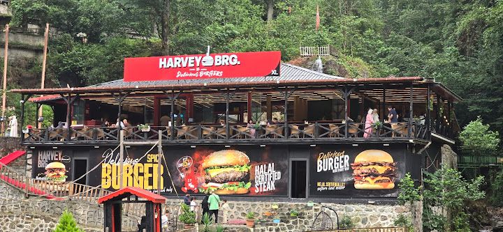 Harvey Burger Çamlıhemşin