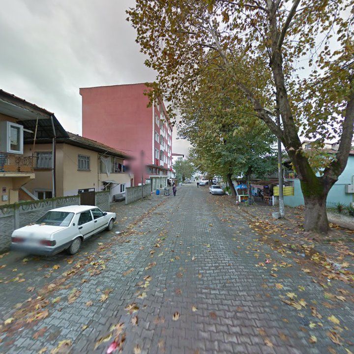 Fotoğraf 5