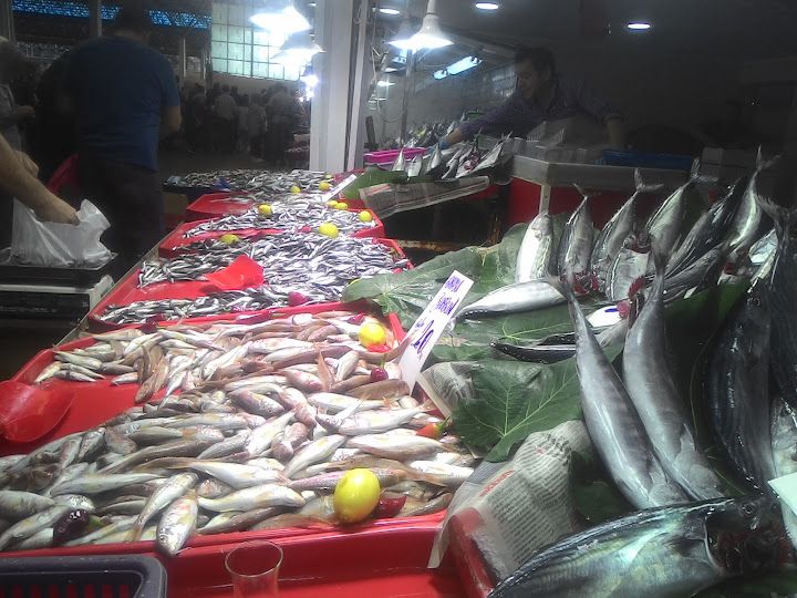 Fotoğraf 13