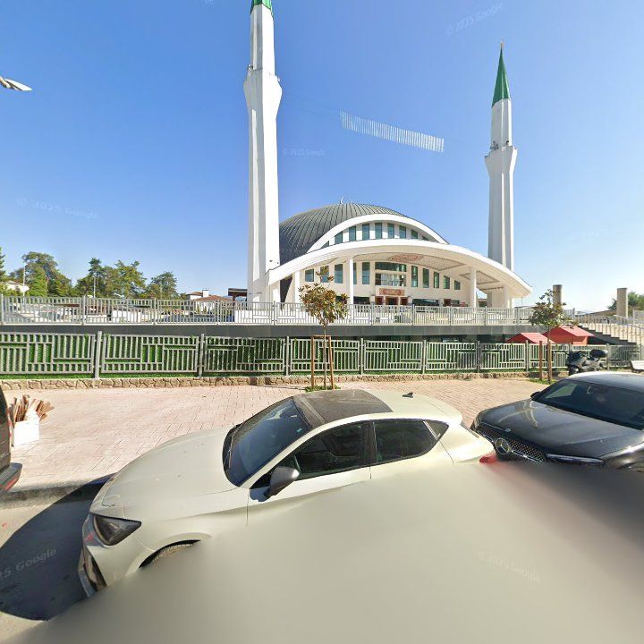 Fotoğraf 9