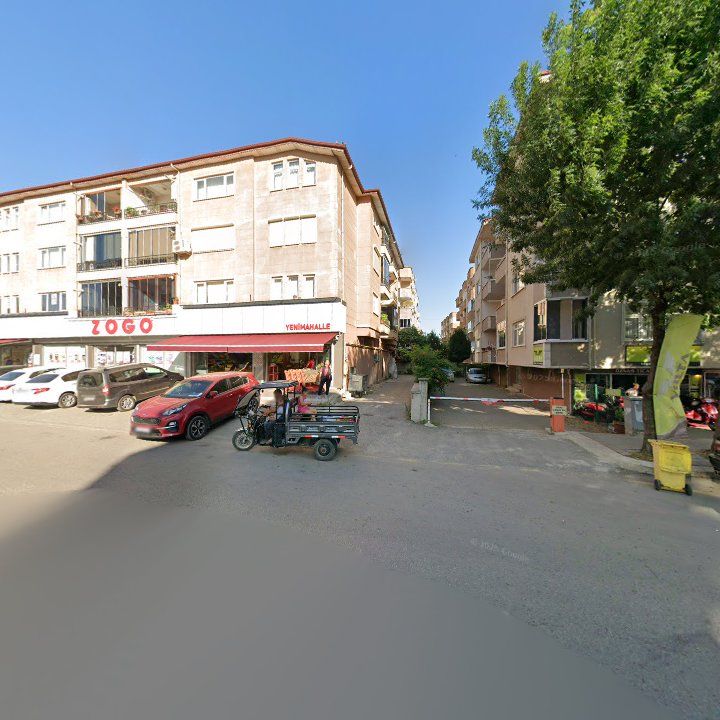 Fotoğraf 9