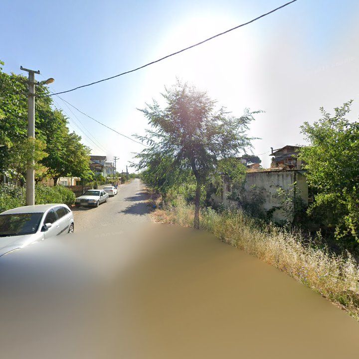 Fotoğraf 7