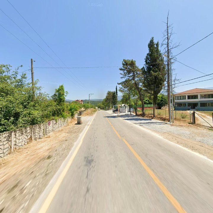 Fotoğraf 11