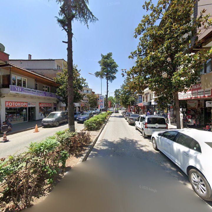 Fotoğraf 8