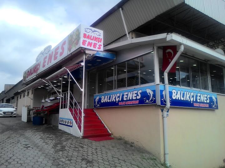 Hendek Balık Lokantası (balıkcı Enes)