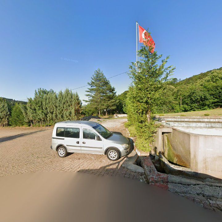 Fotoğraf 9