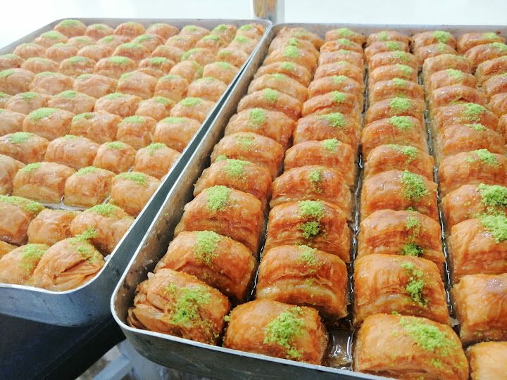 Fotoğraf 23