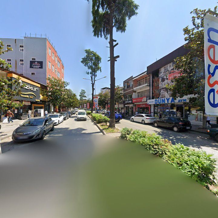 Fotoğraf 3