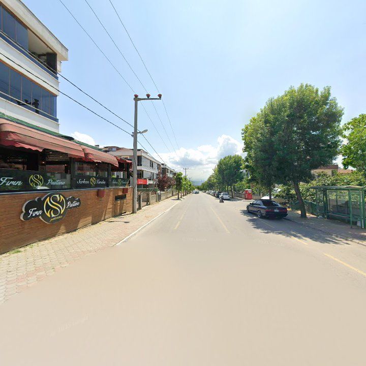 Fotoğraf 8