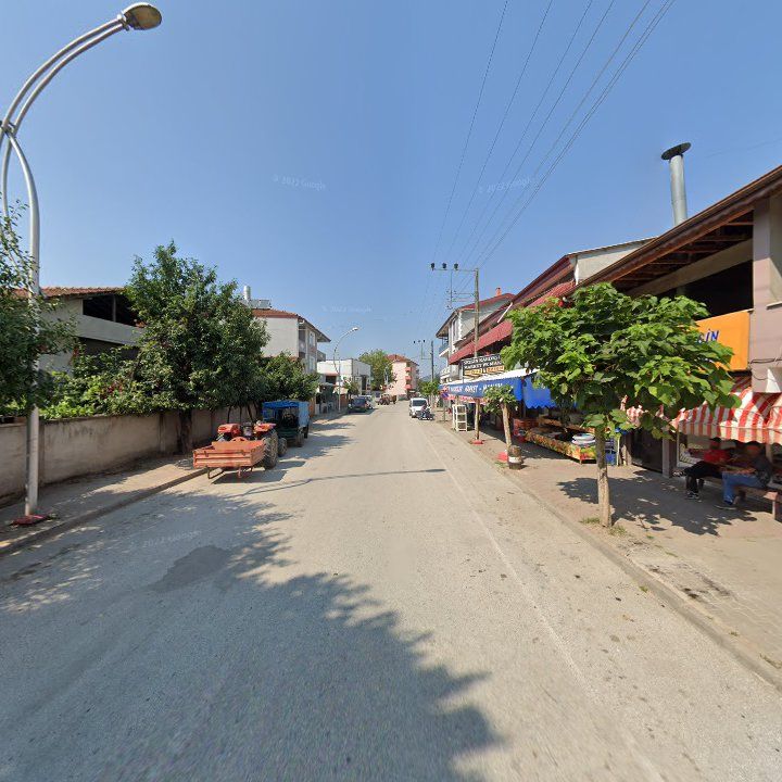 Fotoğraf 4