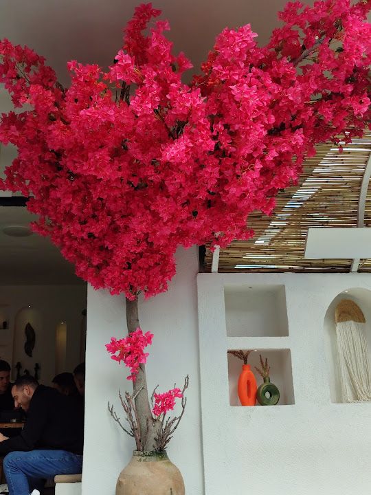 Yorum fotoğrafı 4